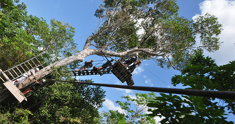 Extreme Zipline Canopy Adventure